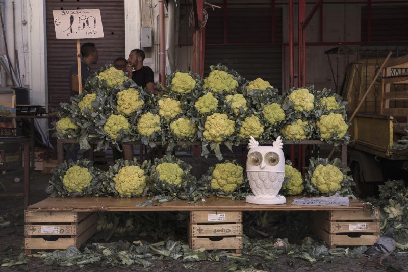 Karman Animal Instinct